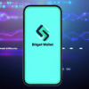 biget-wallet